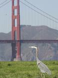 San Francisco Oakland Bay Bridge-Paul Sakuma-Framed Photographic Print