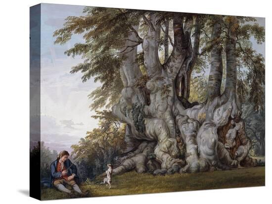Stretched Canvas Print, , large