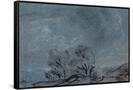 Canvas Black