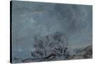 Stretched Canvas