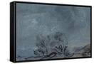 Canvas Black