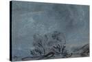 Stretched Canvas