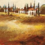 Tuscan Path-Paul Santiago-Stretched Canvas