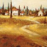 Tuscan Path-Paul Santiago-Framed Stretched Canvas