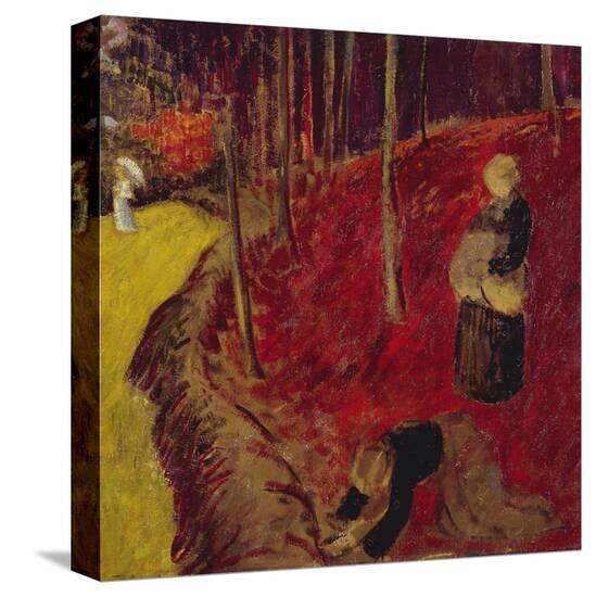 Stretched Canvas Print, , large