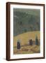 Brown Frame
