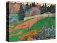 Stretched Canvas