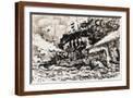 Brown Frame
