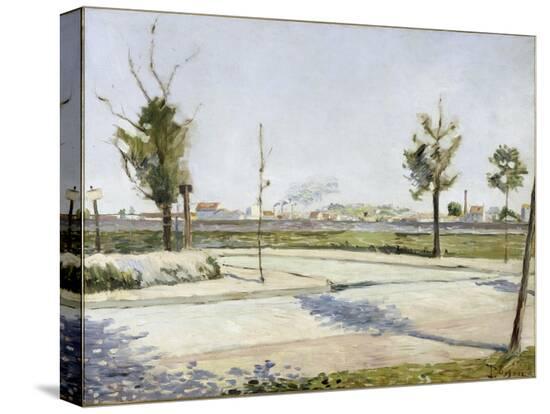 Stretched Canvas Print, , large