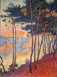 The Pine Tree at St. Tropez, 1909-Paul Signac-Giclee Print