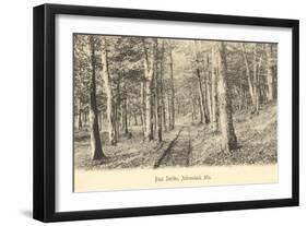Paul Smith's Adirondack Mountains, New York-null-Framed Art Print