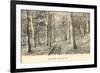 Paul Smith's Adirondack Mountains, New York-null-Framed Art Print