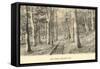 Paul Smith's Adirondack Mountains, New York-null-Framed Stretched Canvas