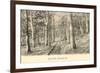 Paul Smith's Adirondack Mountains, New York-null-Framed Premium Giclee Print