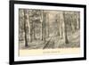 Paul Smith's Adirondack Mountains, New York-null-Framed Premium Giclee Print