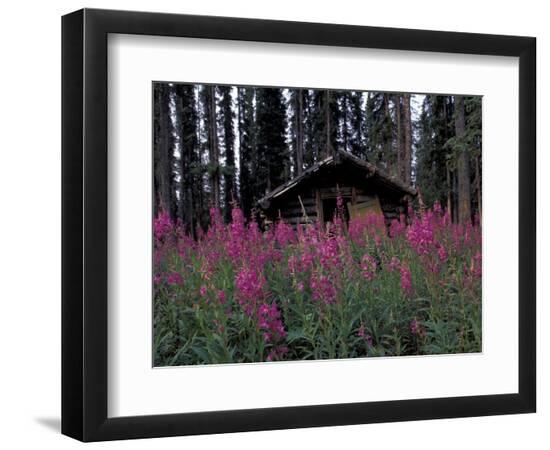 Photographic Print, , large