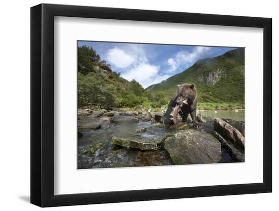Premium Photographic Print, , large