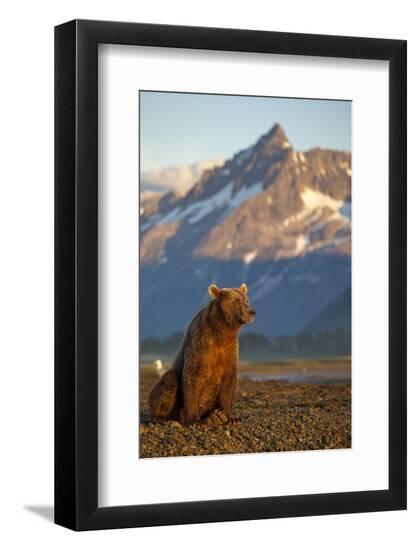 Premium Photographic Print, , large