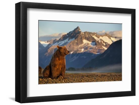 Premium Photographic Print, , large