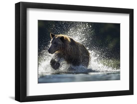 Premium Photographic Print, , large