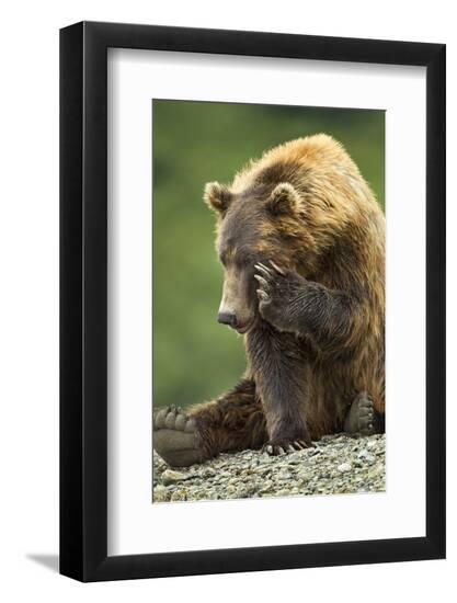 Premium Photographic Print, , large