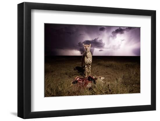 Premium Photographic Print, , large
