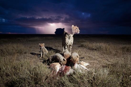 Photographic Print, , large