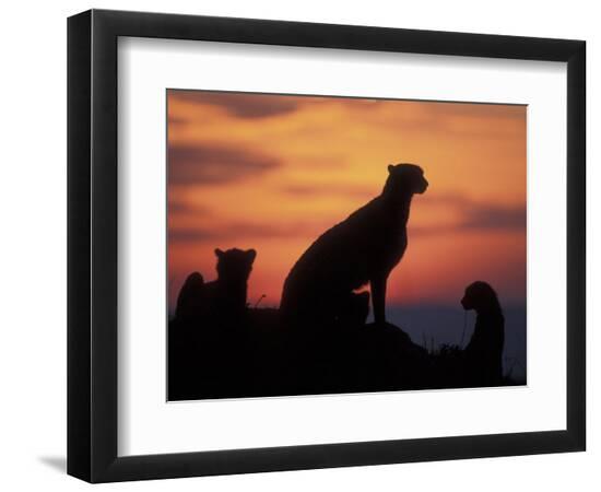 Premium Photographic Print, , large