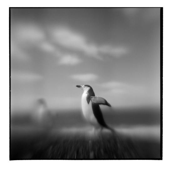 Premium Photographic Print, , large