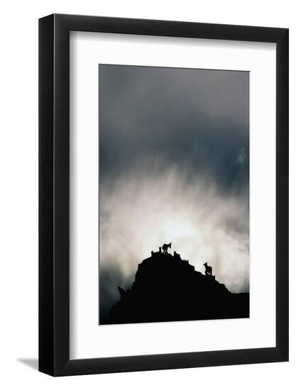 Premium Photographic Print, , large