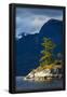 Essential Black