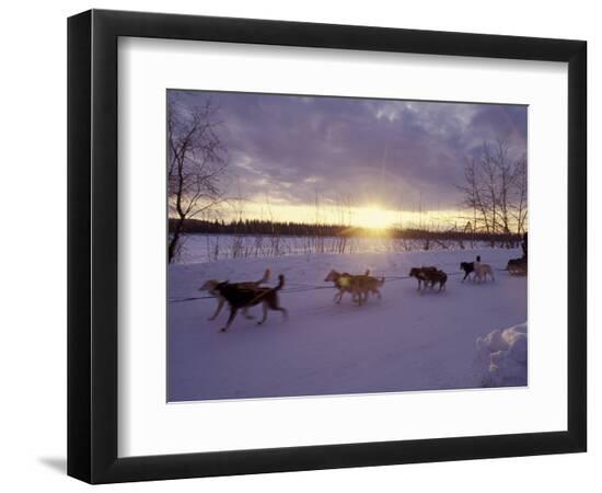 Premium Photographic Print, , large