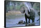 Canvas Black