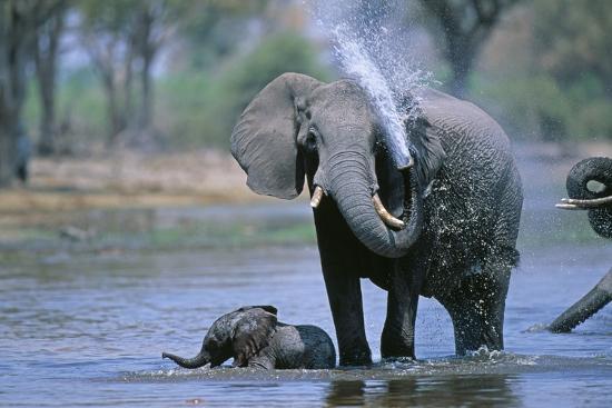 Photographic Print, , large