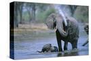 Stretched Canvas