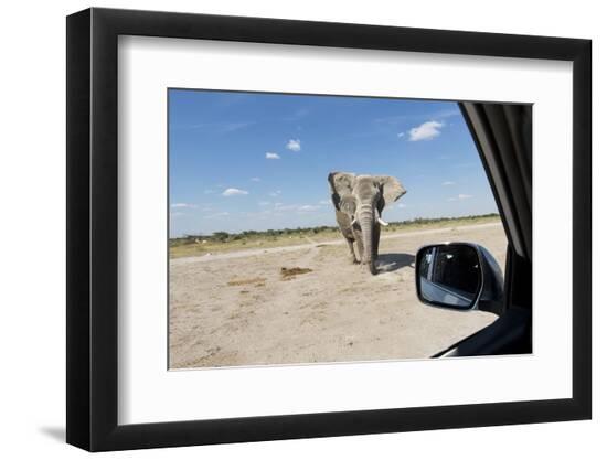 Premium Photographic Print, , large