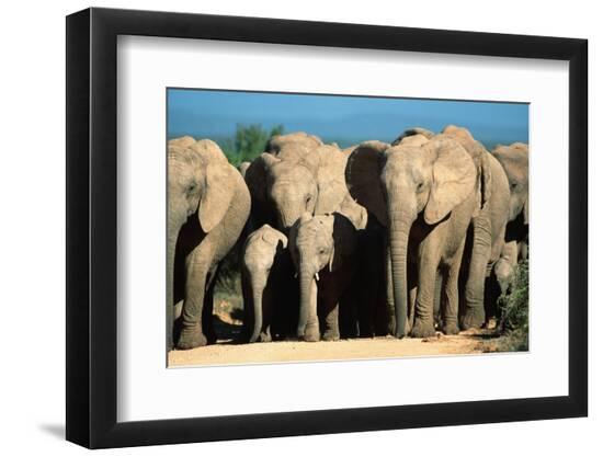Premium Photographic Print, , large