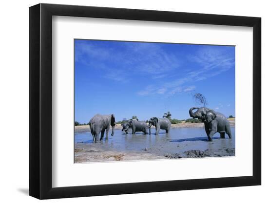 Premium Photographic Print, , large