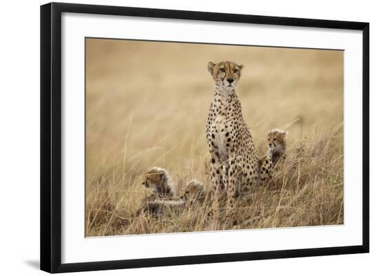 Premium Photographic Print, , large