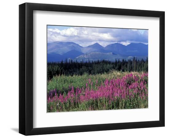 Premium Photographic Print, , large