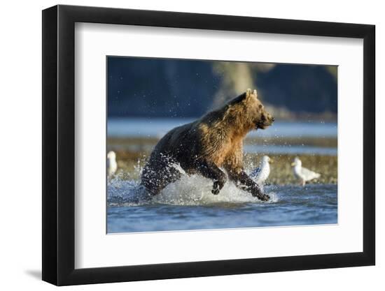Premium Photographic Print, , large