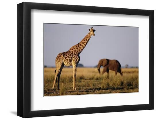 Premium Photographic Print, , large