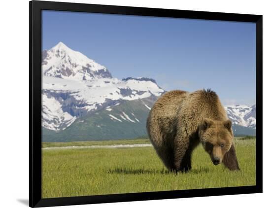 Premium Photographic Print, , large