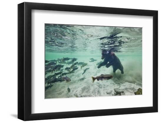 Premium Photographic Print, , large