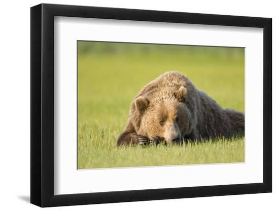 Premium Photographic Print, , large