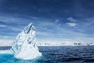 Laminate