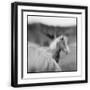 Black Frame