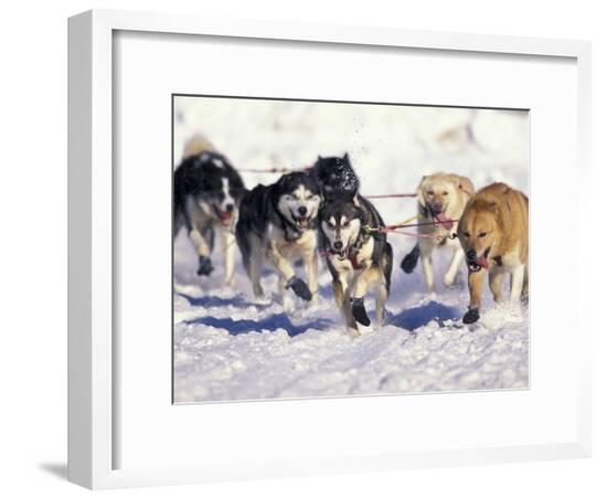 Framed Photographic Print, , large