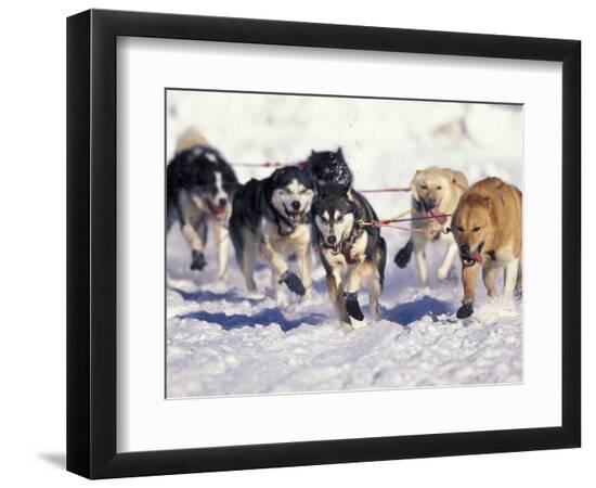 Premium Photographic Print, , large