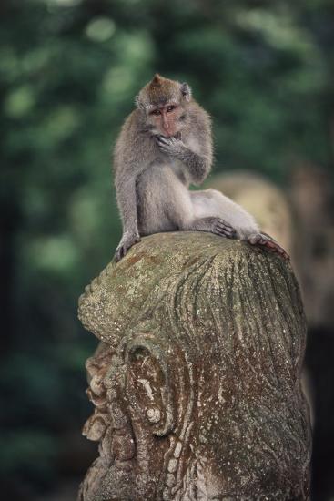 Ubud Monkey Forest